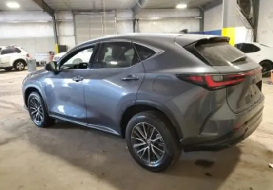 Lexus NX 2024 თბილისი