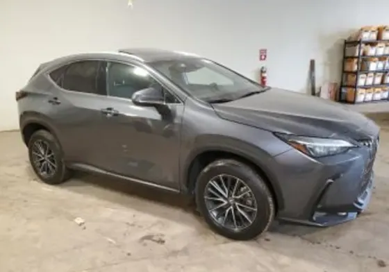 Lexus NX 2024 თბილისი