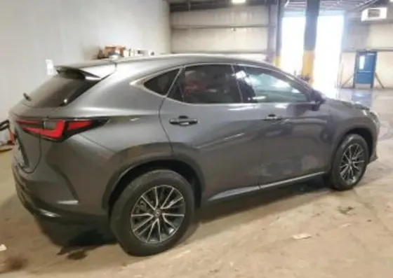 Lexus NX 2024 თბილისი