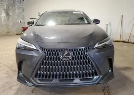 Lexus NX 2024 თბილისი