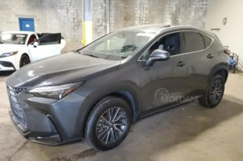 Lexus NX 2024 თბილისი - photo 6