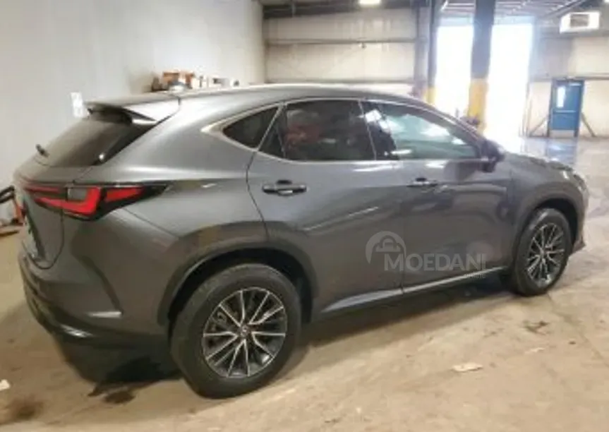 Lexus NX 2024 თბილისი - photo 3