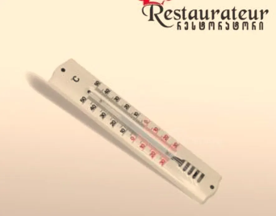 Термометр для холодильника Тбилиси - изображение 1