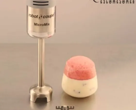 Погружной блендер Robot Coupe, MicroMix. Регулируемая скорость: 1500–14000 об/мин; Тбилиси