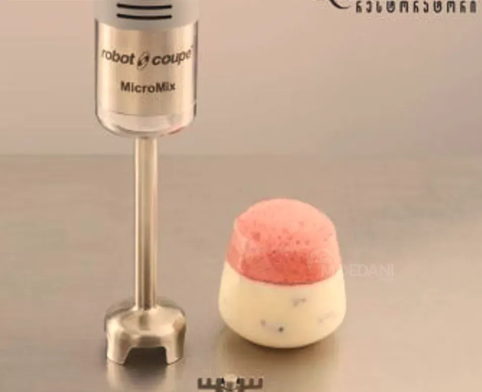 Погружной блендер Robot Coupe, MicroMix. Регулируемая скорость: 1500–14000 об/мин; Тбилиси - изображение 3