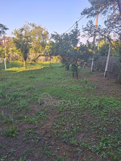 House for sale in Samtredia Samtredia - photo 5