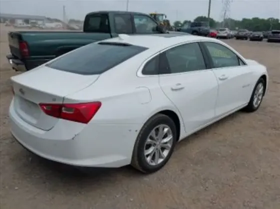 Chevrolet Malibu 2024 Тбилиси