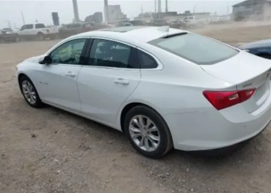 Chevrolet Malibu 2024 Тбилиси