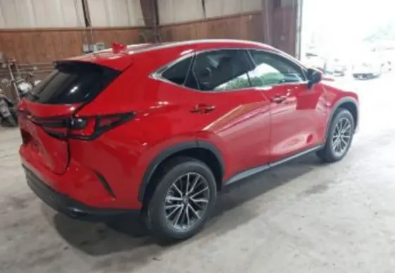 Lexus NX 2025 Tbilisi