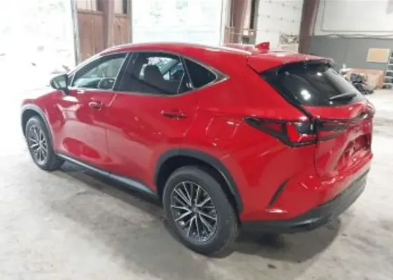 Lexus NX 2025 Tbilisi