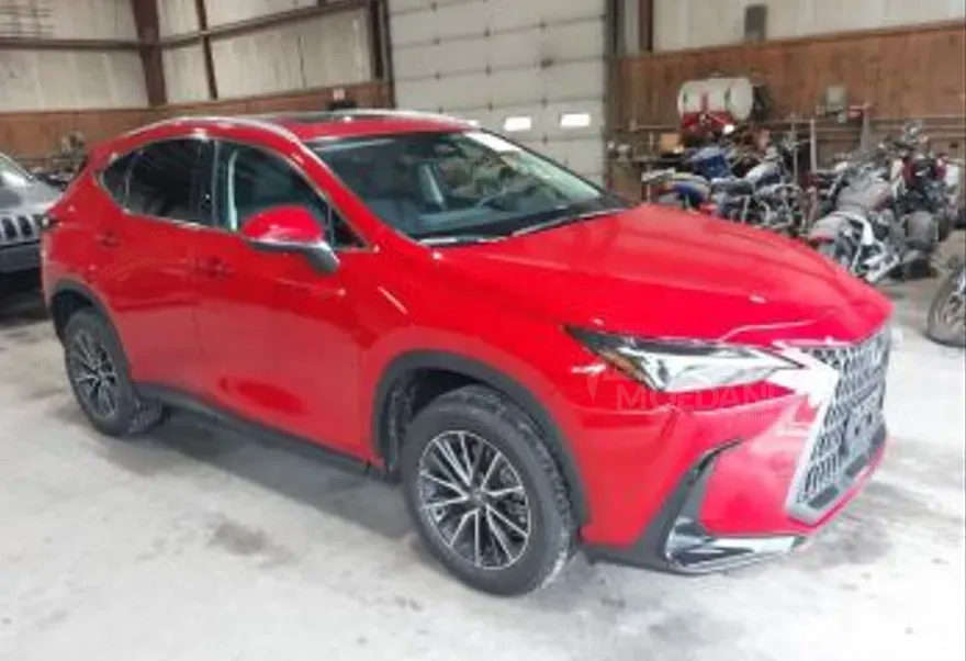 Lexus NX 2025 Тбилиси - изображение 4