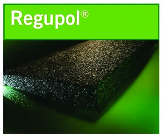 Регулус Тбилиси