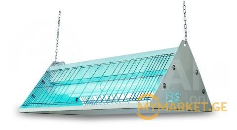 მწერების საკლავი თბილისი - photo 1