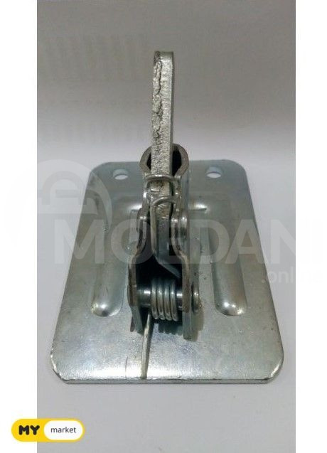 Продаются бабочки Тбилиси - изображение 1