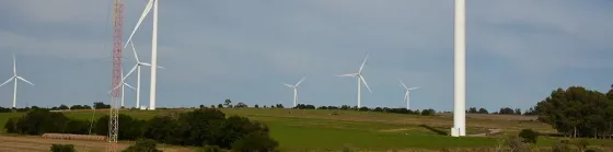 Оценка природных ресурсов Тбилиси