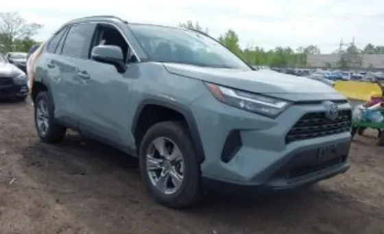 Toyota RAV4 2.5L 2023 Тбилиси