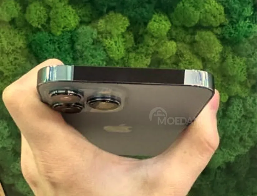 iPhone 13 Pro Max Silver 256GB თბილისი - photo 5