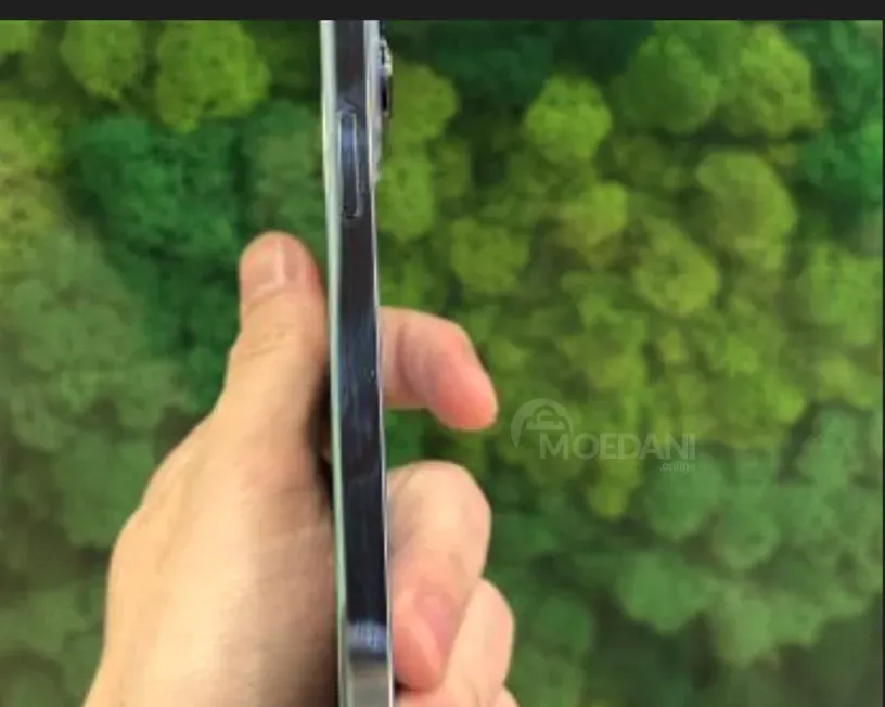 iPhone 13 Pro Max Silver 256GB თბილისი - photo 3