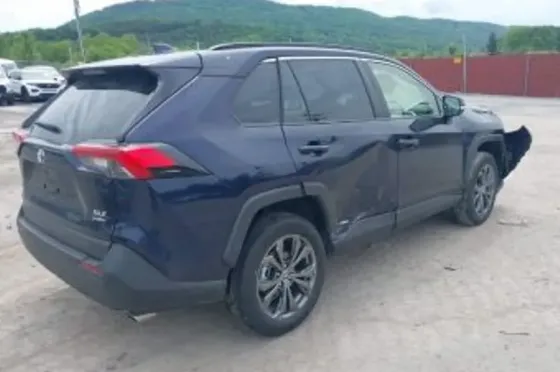 Toyota RAV4 2.5L 2025 Tbilisi