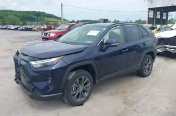 Toyota RAV4 2.5L 2025 Tbilisi