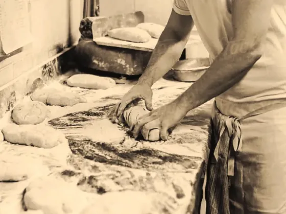 Მცხობელი თბილისი