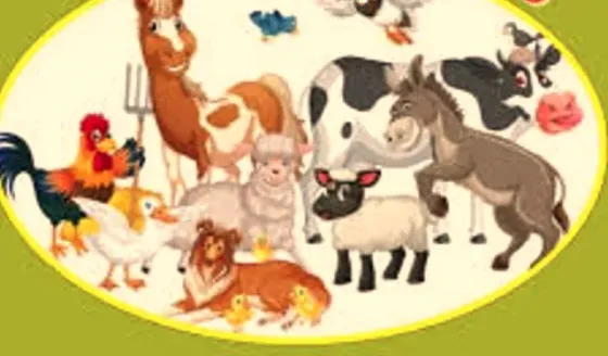 Გამყიდველი ზოო მაღაზიაში თბილისი