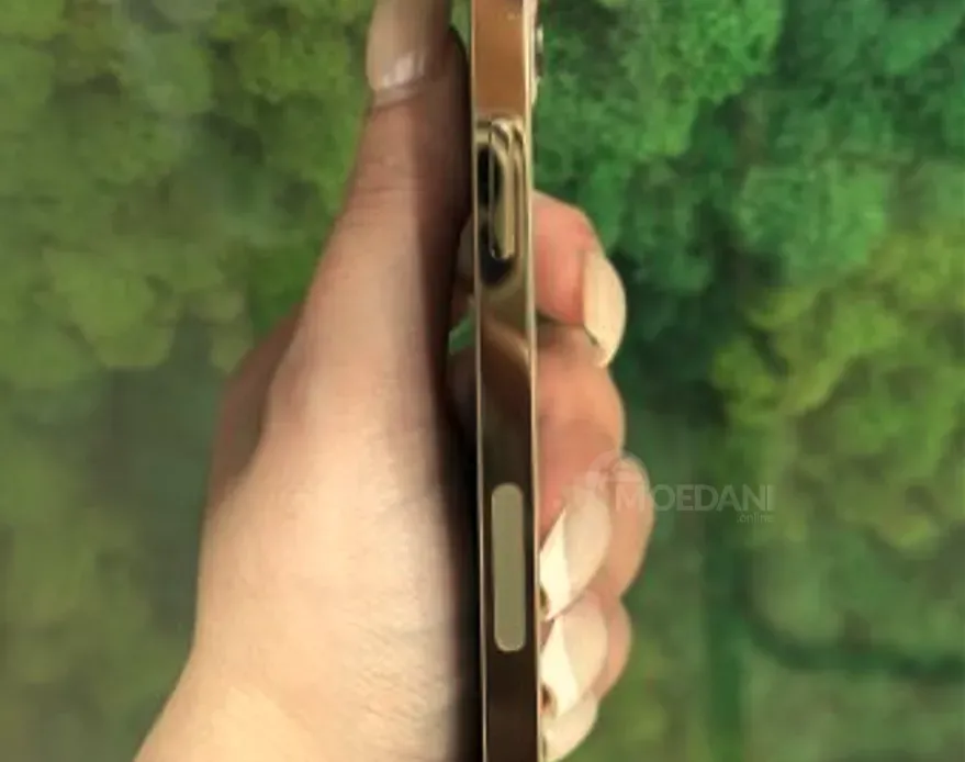 iPhone 12 Pro Silver 256GB თბილისი - photo 4