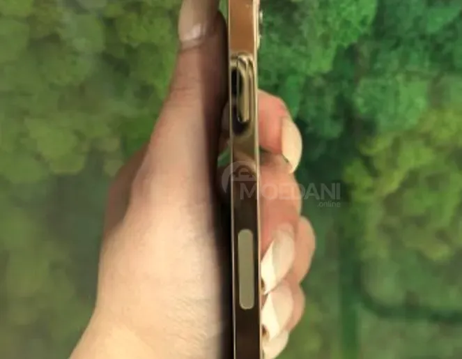 iPhone 12 Pro Silver 256GB თბილისი - photo 3