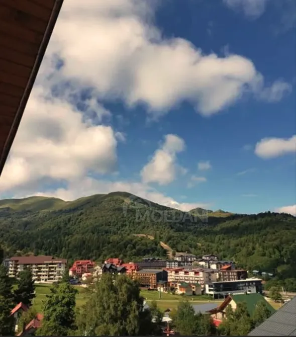 Apartments For Sale two-room 44м² 5/5 floor Borzhomi - photo 10