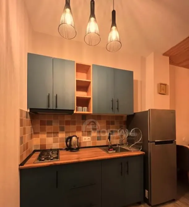 Apartments For Sale two-room 44м² 5/5 floor Borzhomi - photo 6