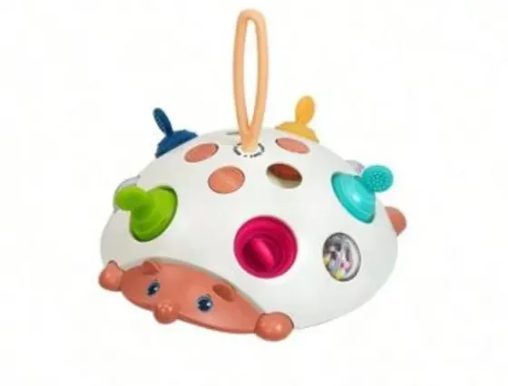 Toys for babies 4/1 toy hedgehog Tbilisi