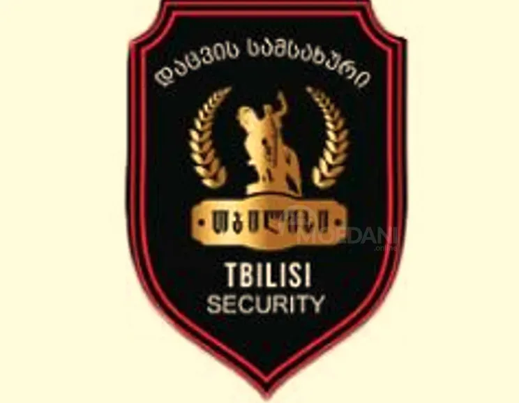 Защита Тбилиси - изображение 1