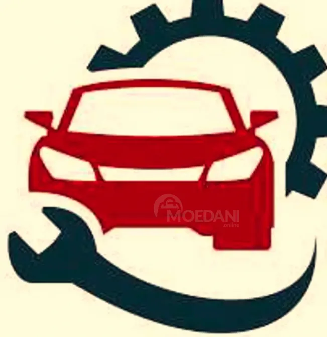 Механик Тбилиси - изображение 1