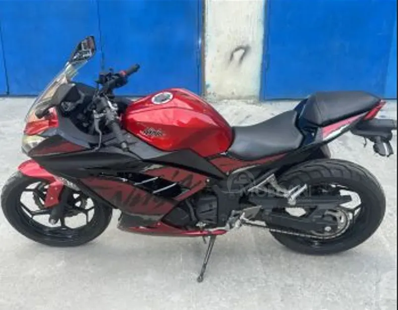 Kawasaki Ninja 250 R Tbilisi - photo 5