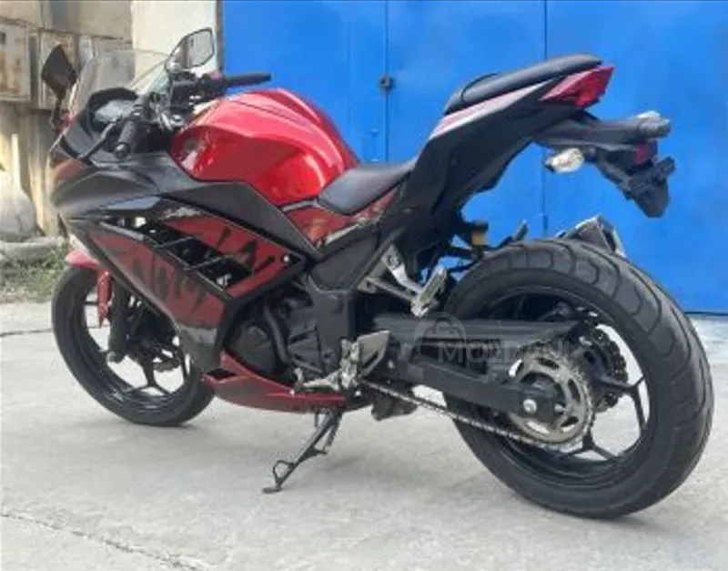 Kawasaki Ninja 250 R Tbilisi - photo 3