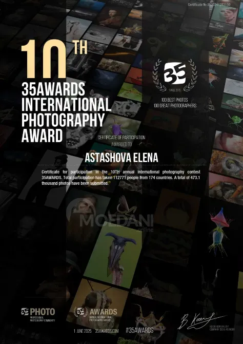 ფოტოგრაფი თბილისი - photo 2