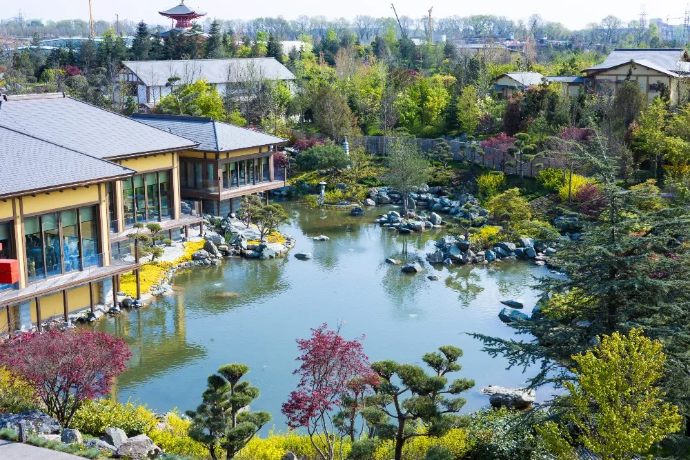 ფოტოგრაფი თბილისი - photo 5