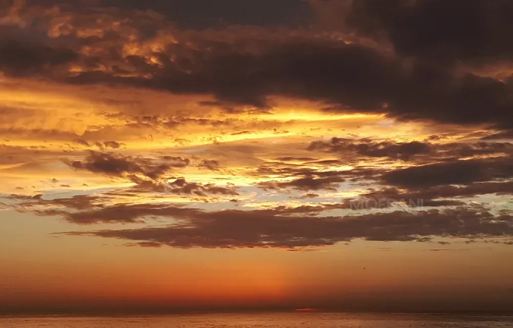 ფოტოგრაფი თბილისი - photo 7