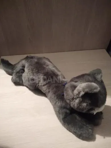 Игрушечный кот Тбилиси - изображение 1