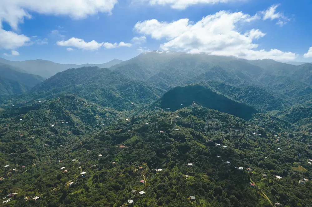 Продам земельный участок 2855м² Batumi - photo 5