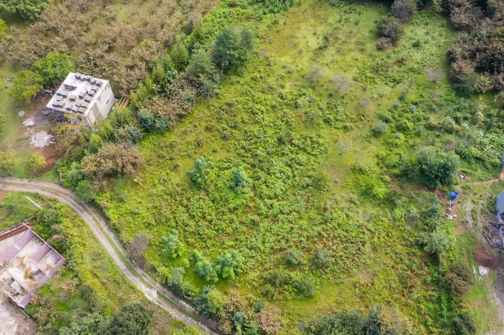 Продам земельный участок 2855м² Batumi - photo 7