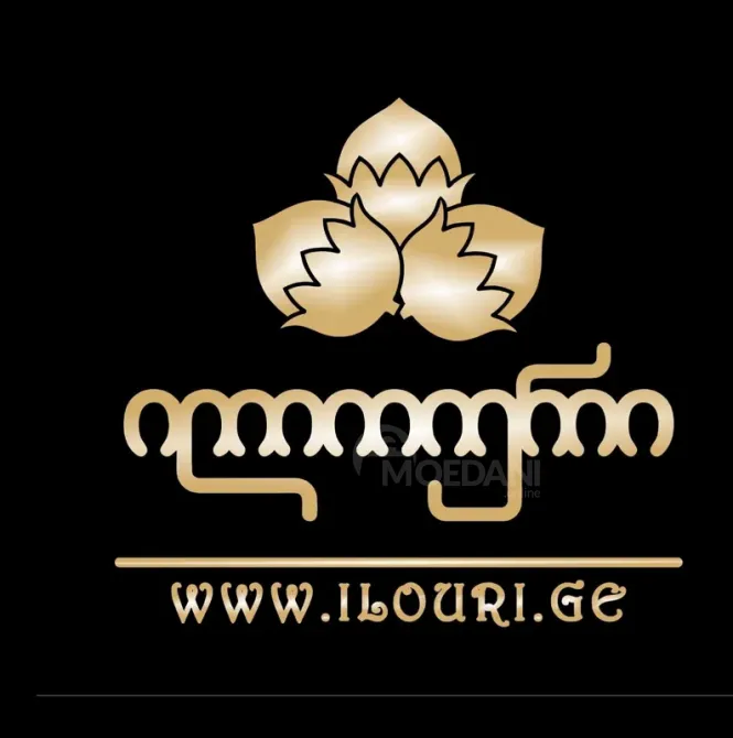 Ჭურჭლის მრეცხავი-მოსკოვის გამზირი თბილისი - photo 1