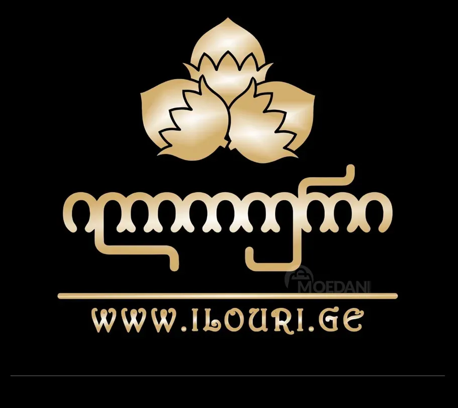 Დამლაგებელი თბილისი - photo 1