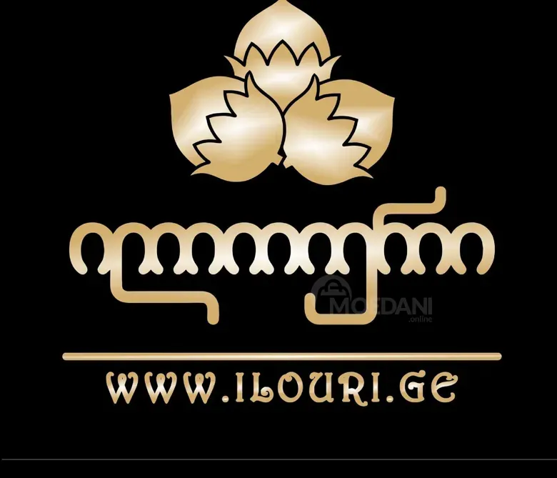 Სამზარეულოს დამლაგებელი თბილისი - photo 1