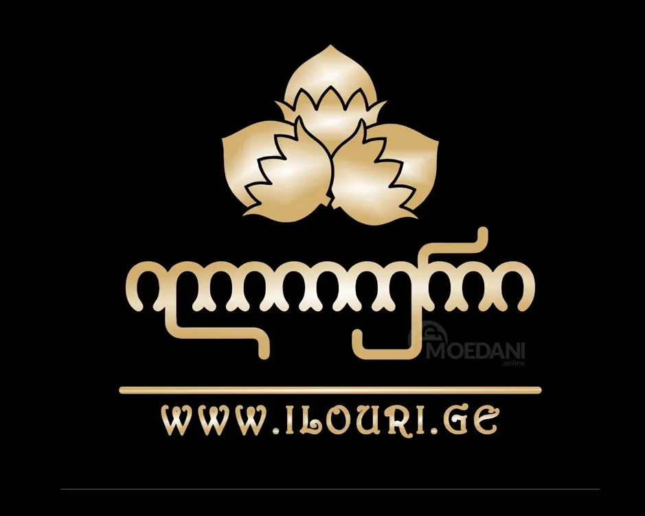 Ресторан Илоури (Московский проспект) Посудомоечная машина Тбилиси - изображение 1