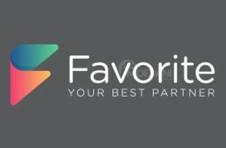 Электрик Тбилиси - изображение 1