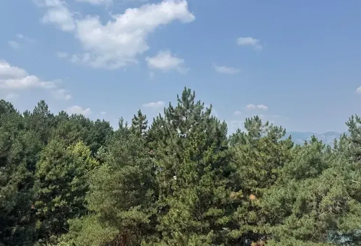 Apartments For Sale two-room 40м² 2/7 floor Tbilisi - photo 3