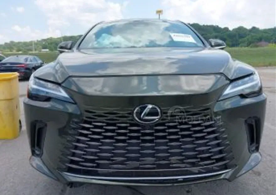 Lexus RX 2024 თბილისი - photo 3