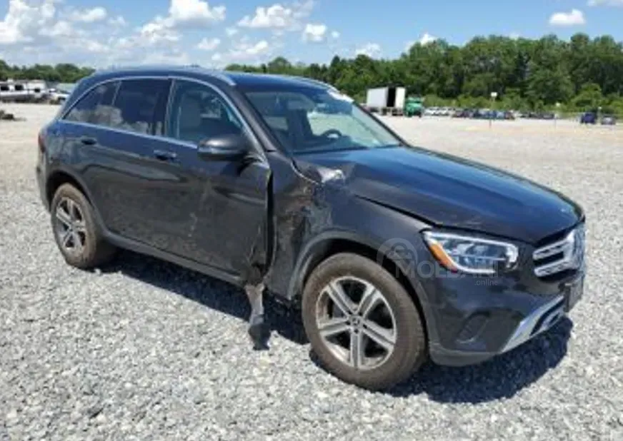 Mercedes GLC 2L 202 თბილისი - photo 3