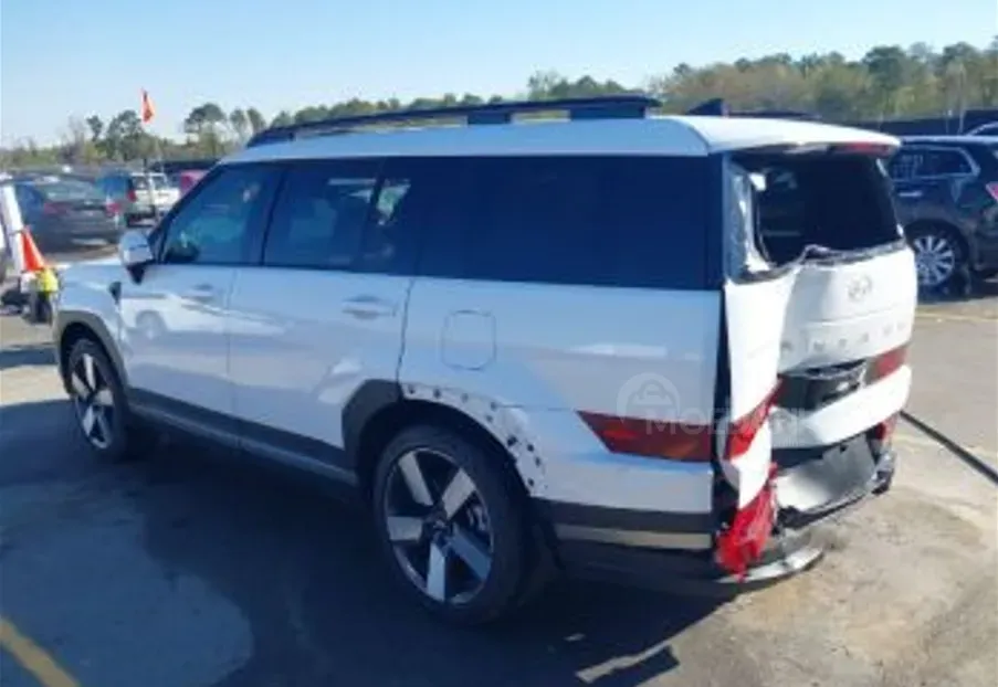 Hyundai Santa Fe 2024 თბილისი - photo 7